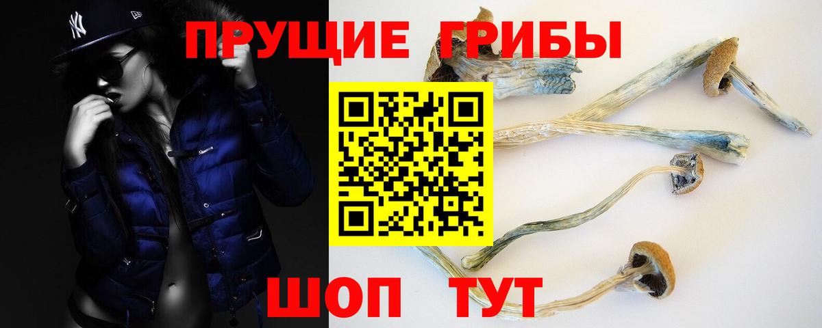 Коркино  Псилоцибиновые грибы мухоморы  Вход с VPN  Псилоцибиновые грибы Psilocybe 